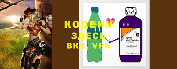 хмурый Абаза