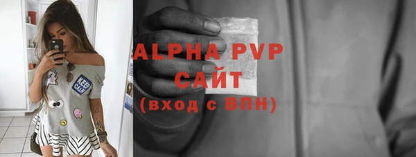 хмурый Абаза