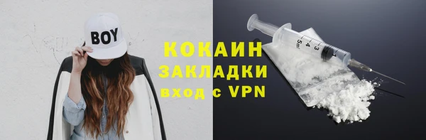 хмурый Абаза