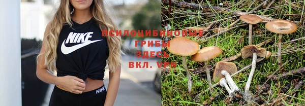 хмурый Абдулино